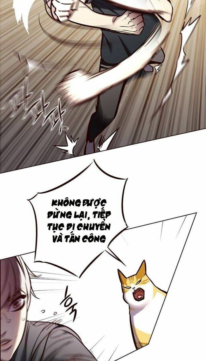 Hoá Thân Thành Mèo Chap 124 - Next Chap 125