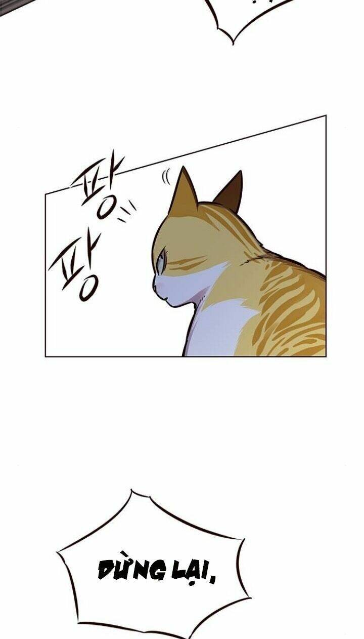 Hoá Thân Thành Mèo Chap 124 - Next Chap 125