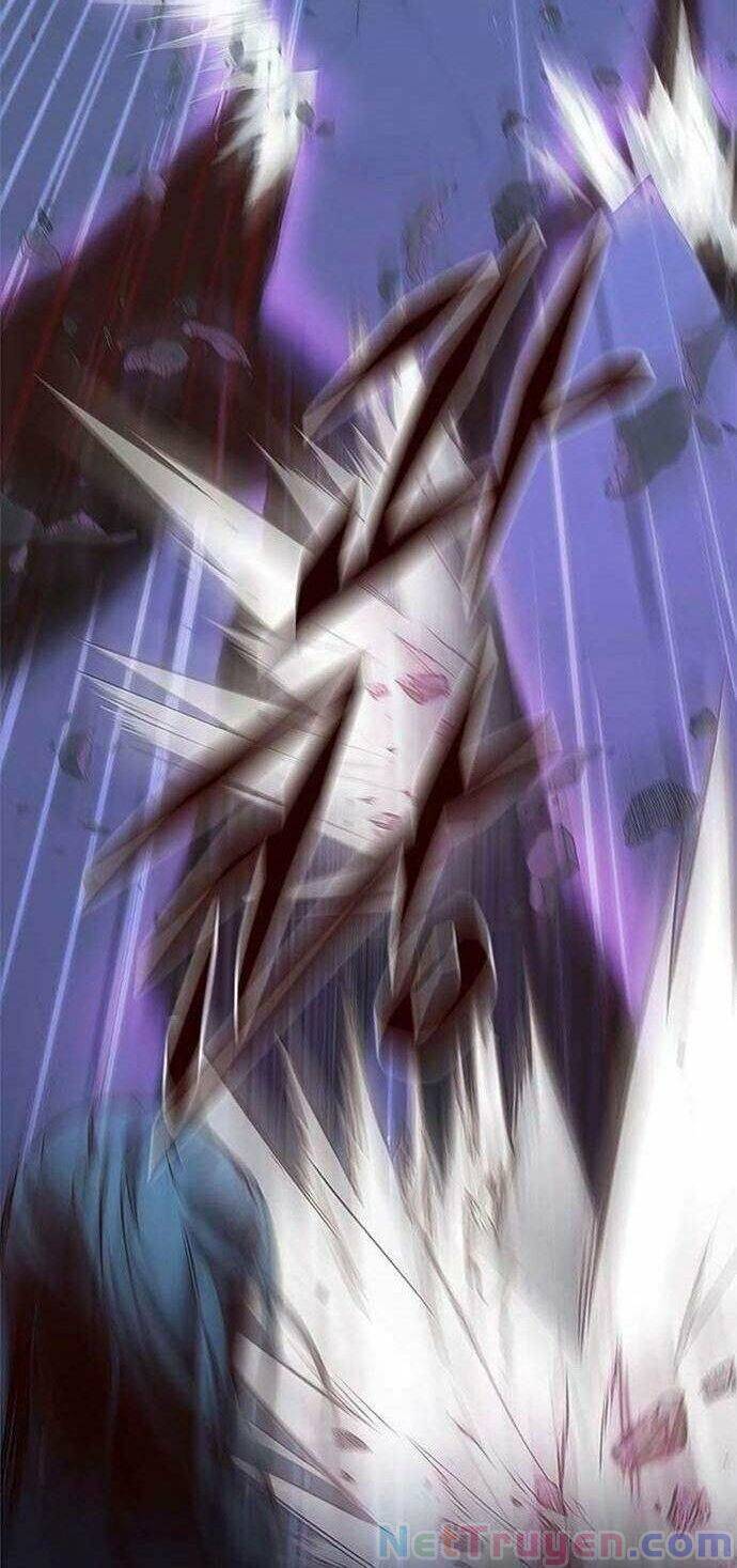 Hoá Thân Thành Mèo Chap 135 - Next Chap 136