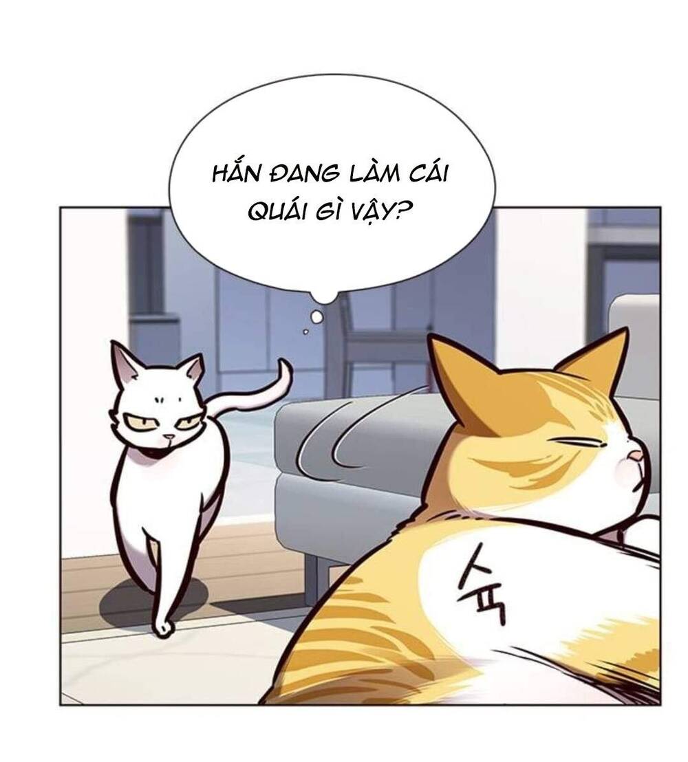 Hoá Thân Thành Mèo Chap 144 - Next Chap 145