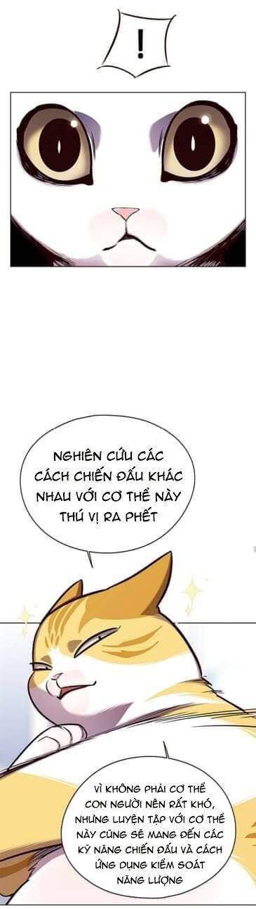 Hoá Thân Thành Mèo Chap 144 - Next Chap 145
