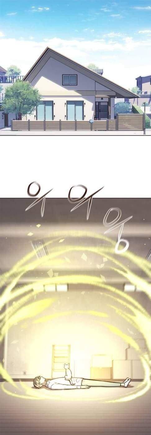 Hoá Thân Thành Mèo Chap 144 - Next Chap 145