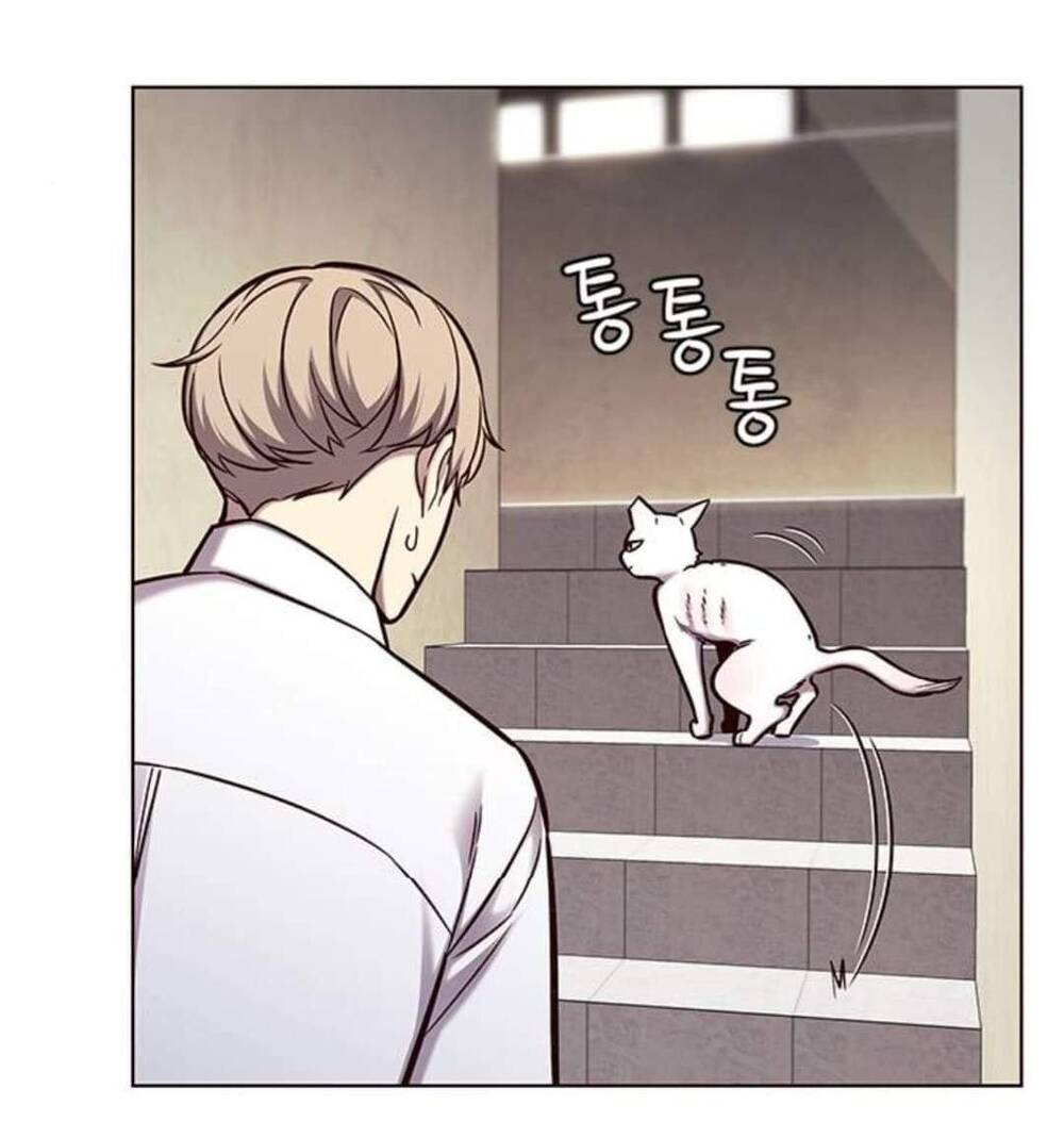 Hoá Thân Thành Mèo Chap 144 - Next Chap 145