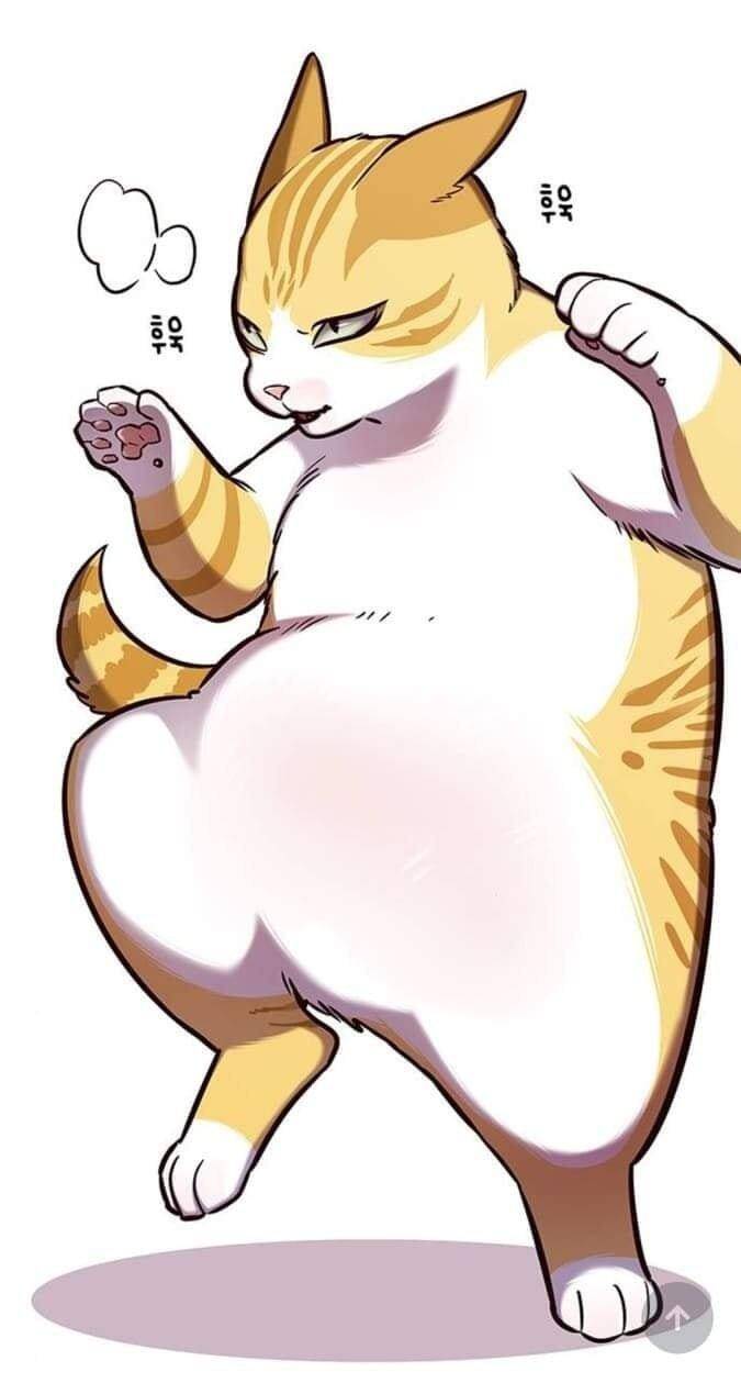 Hoá Thân Thành Mèo Chap 144 - Next Chap 145