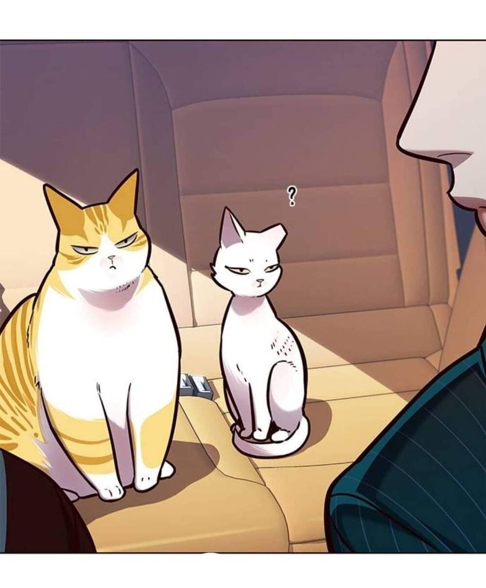 Hoá Thân Thành Mèo Chap 144 - Next Chap 145