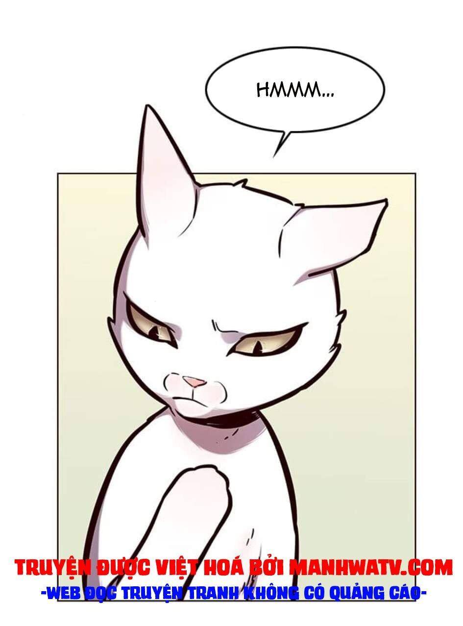 Hoá Thân Thành Mèo Chap 144 - Next Chap 145