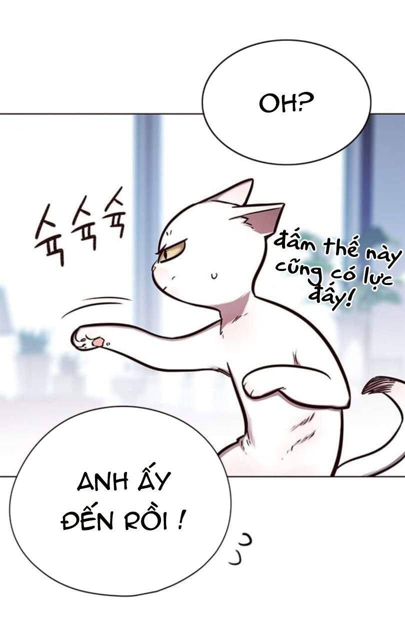 Hoá Thân Thành Mèo Chap 144 - Next Chap 145