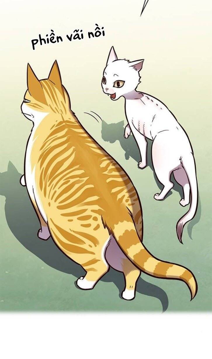 Hoá Thân Thành Mèo Chap 145 - Next Chap 146