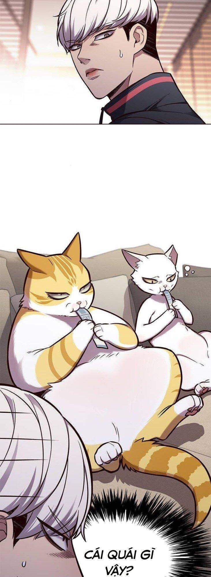 Hoá Thân Thành Mèo Chap 146 - Next Chap 147