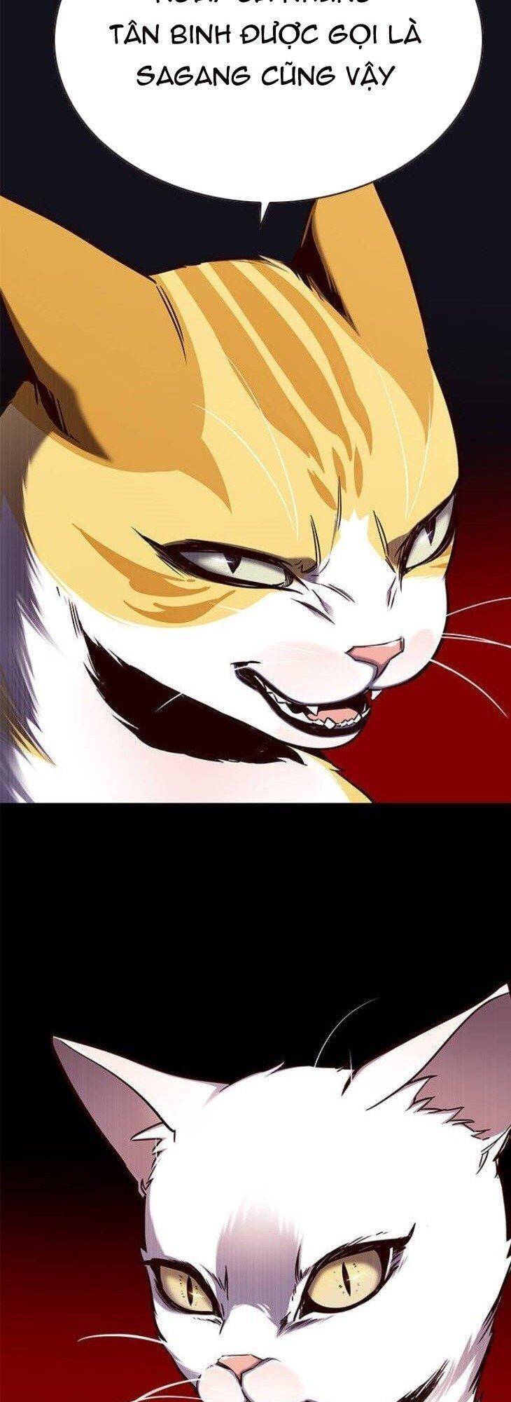 Hoá Thân Thành Mèo Chap 146 - Next Chap 147