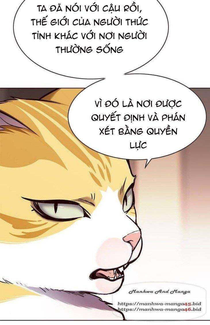 Hoá Thân Thành Mèo Chap 146 - Next Chap 147