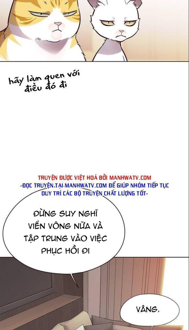 Hoá Thân Thành Mèo Chap 146 - Next Chap 147