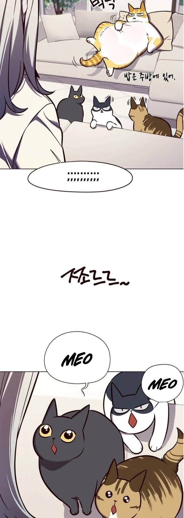 Hoá Thân Thành Mèo Chap 141 - Next Chap 142