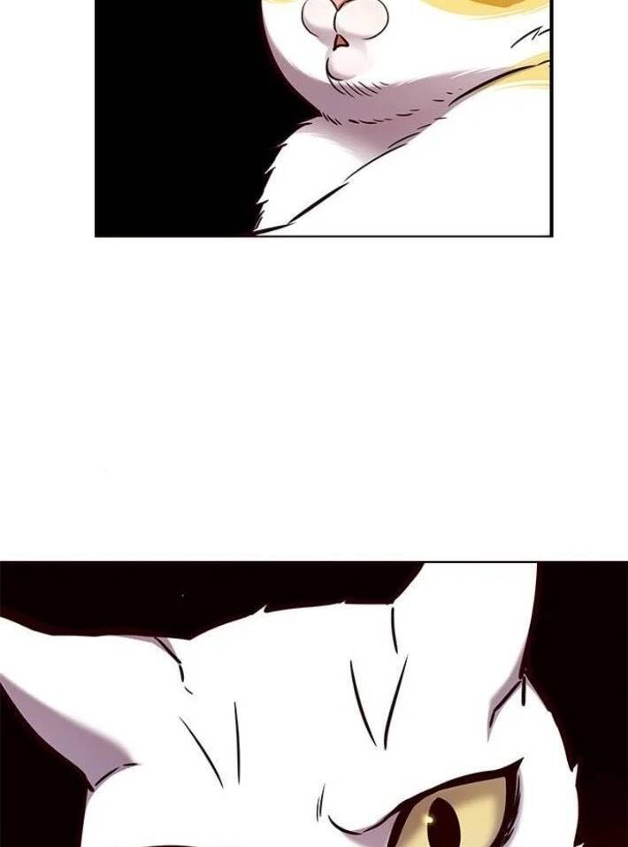 Hoá Thân Thành Mèo Chap 141 - Next Chap 142