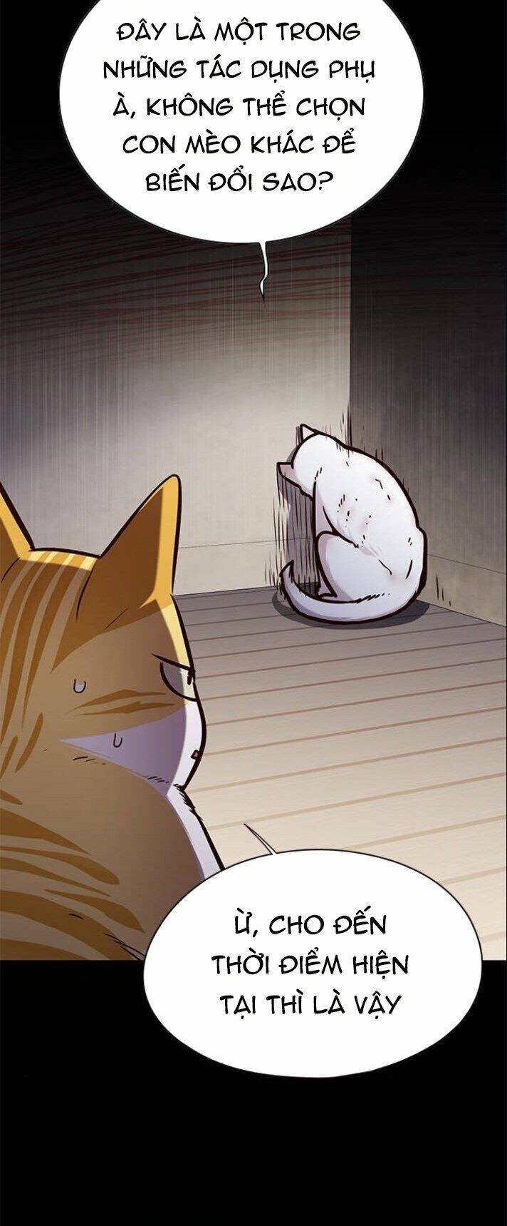 Hoá Thân Thành Mèo Chap 142 - Next Chap 143