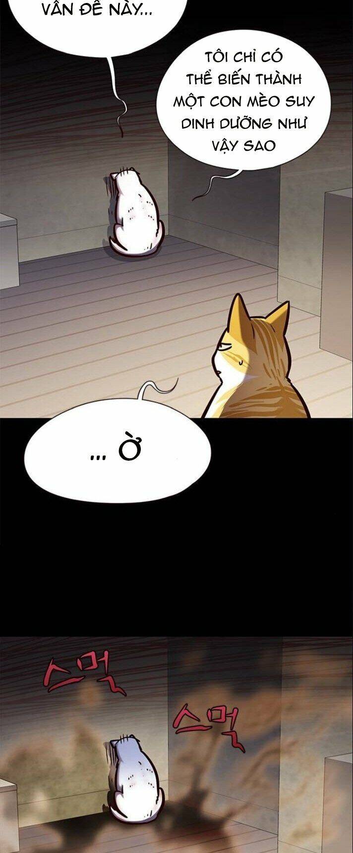 Hoá Thân Thành Mèo Chap 142 - Next Chap 143