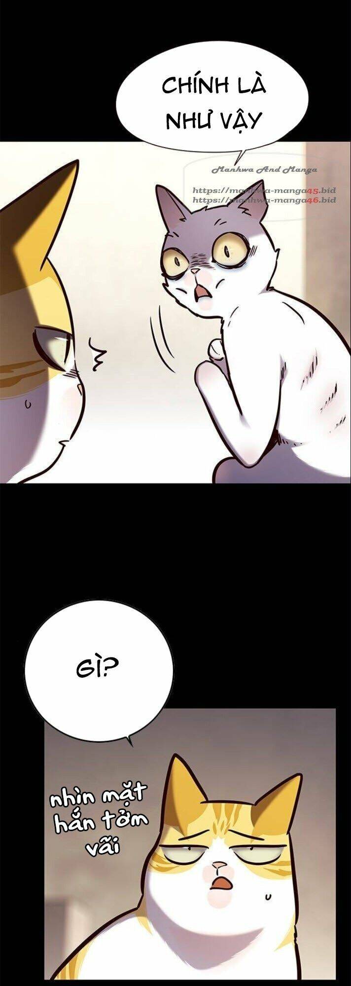 Hoá Thân Thành Mèo Chap 142 - Next Chap 143