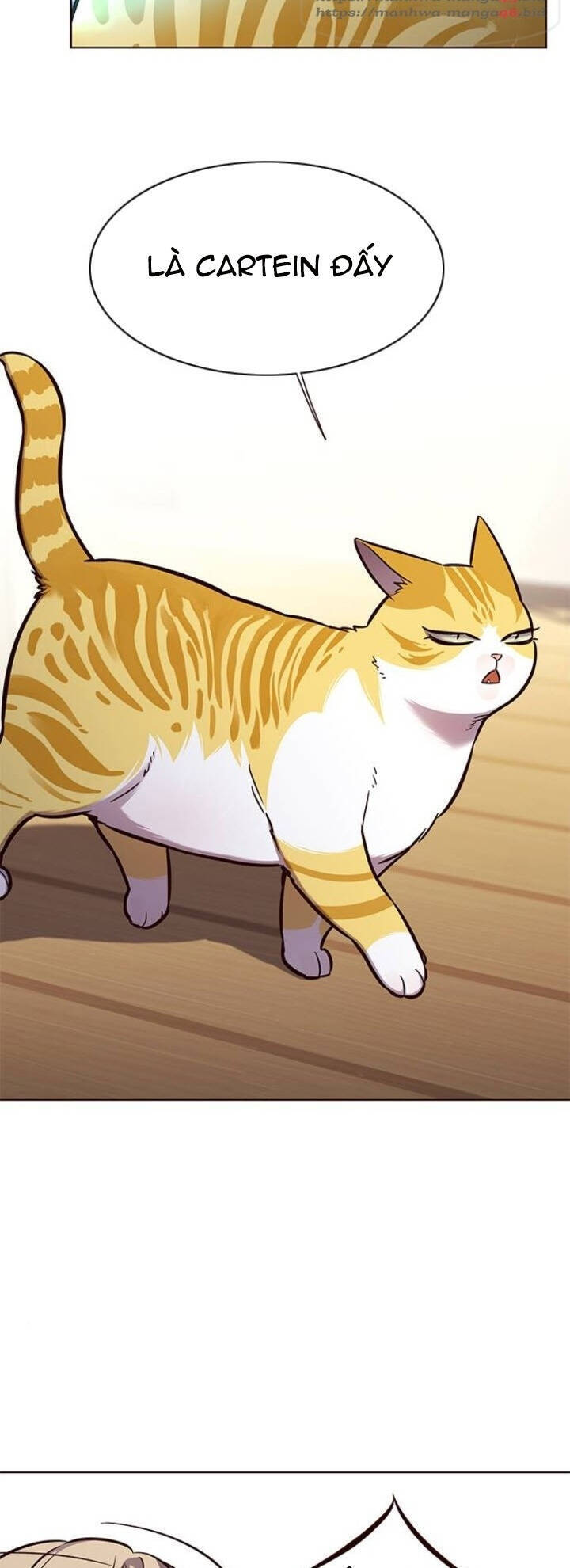 Hoá Thân Thành Mèo Chap 143 - Next Chap 144