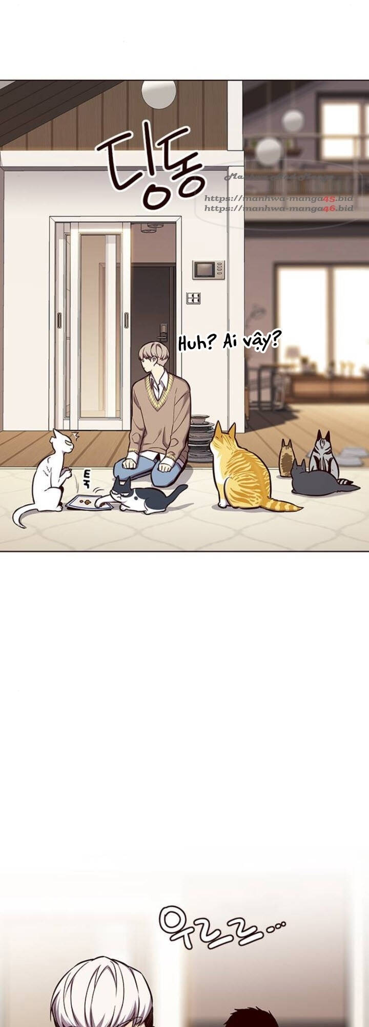 Hoá Thân Thành Mèo Chap 143 - Next Chap 144