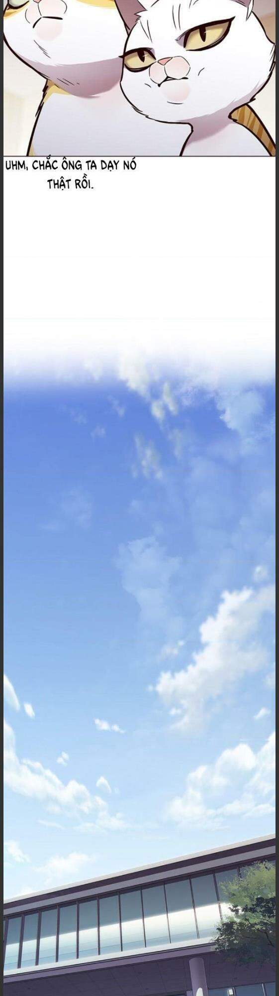 Hoá Thân Thành Mèo Chap 157 - Next Chap 158