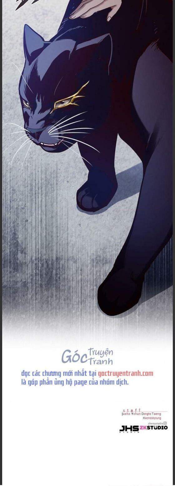 Hoá Thân Thành Mèo Chap 157 - Next Chap 158
