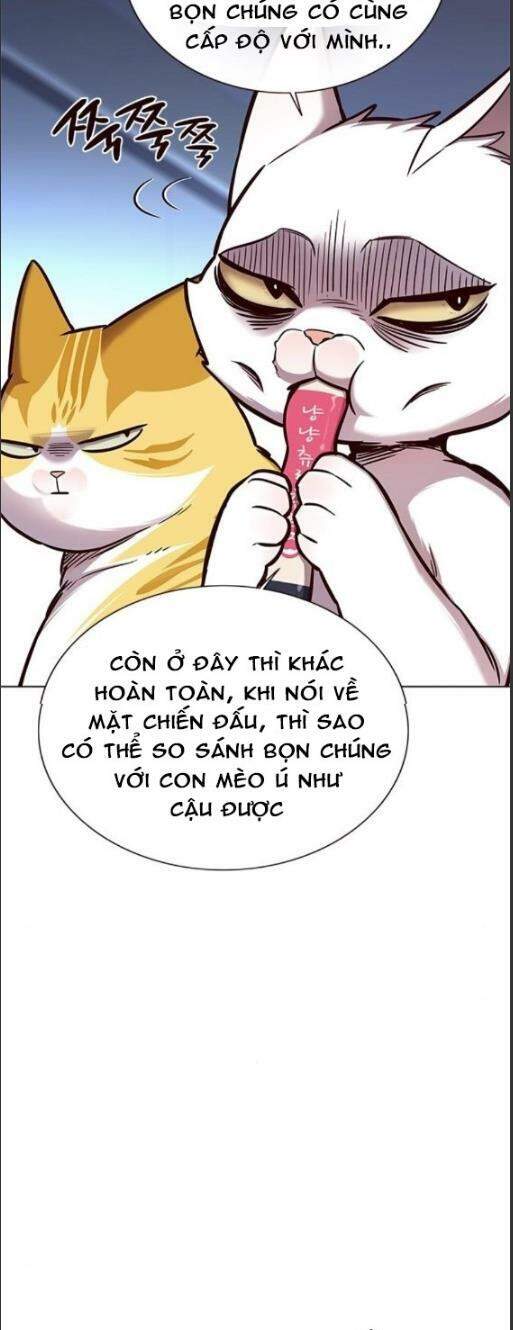Hoá Thân Thành Mèo Chap 159 - Next Chap 160