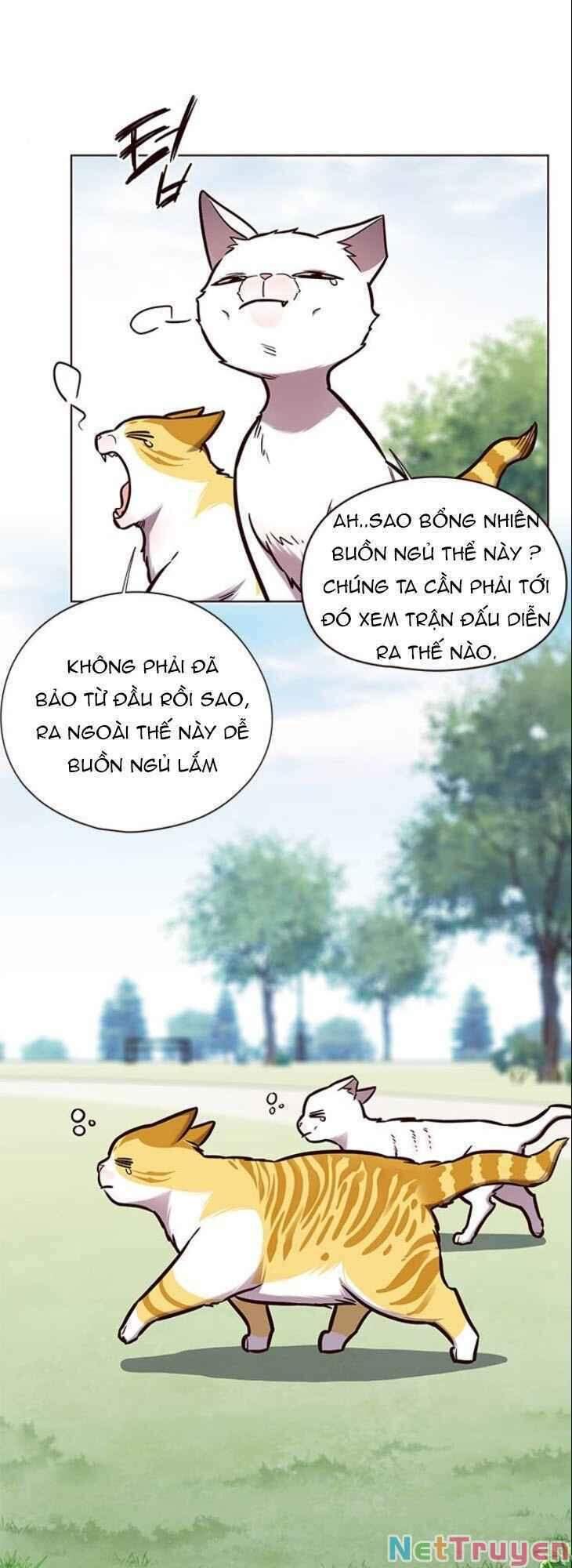 Hoá Thân Thành Mèo Chap 150 - Next Chap 151