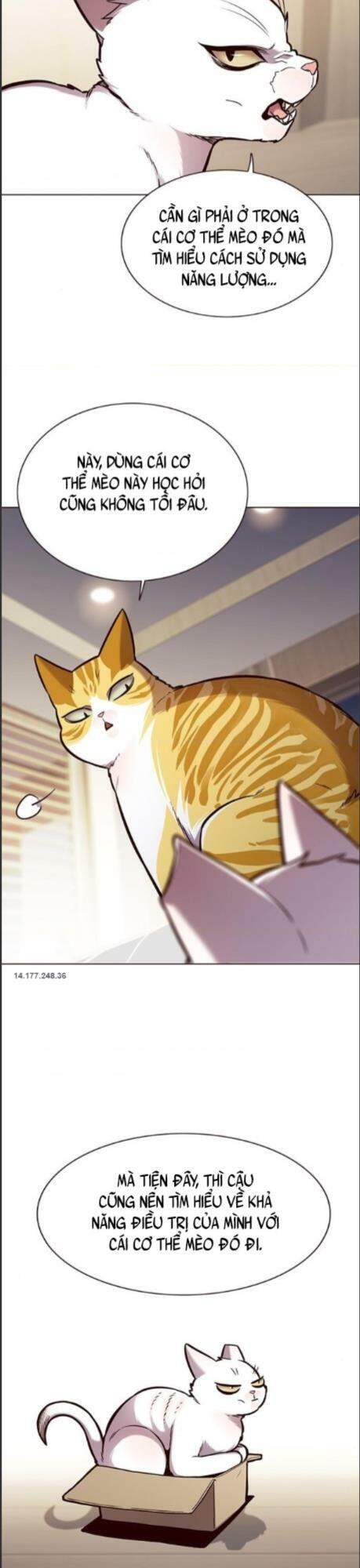Hoá Thân Thành Mèo Chap 164 - Next Chap 165