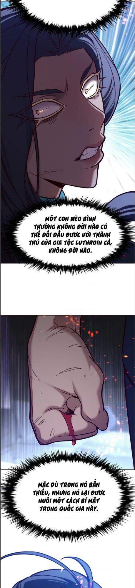 Hoá Thân Thành Mèo Chap 164 - Next Chap 165