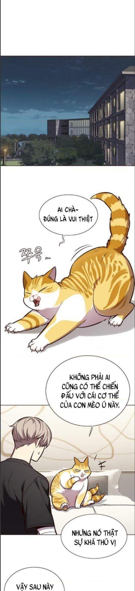 Hoá Thân Thành Mèo Chap 164 - Next Chap 165