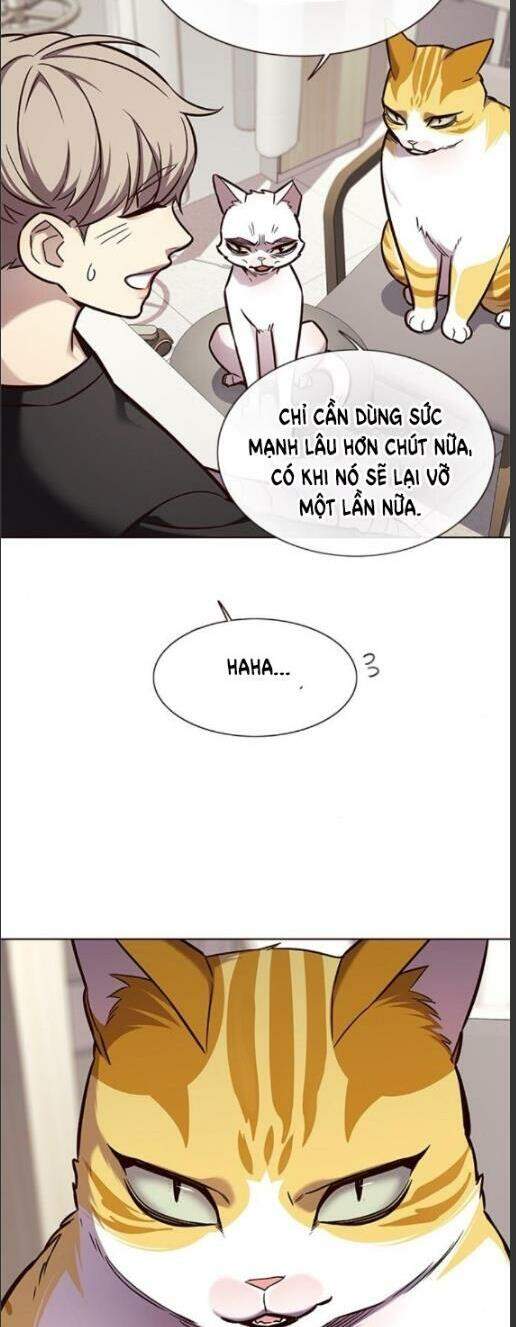 Hoá Thân Thành Mèo Chap 160 - Next Chap 161