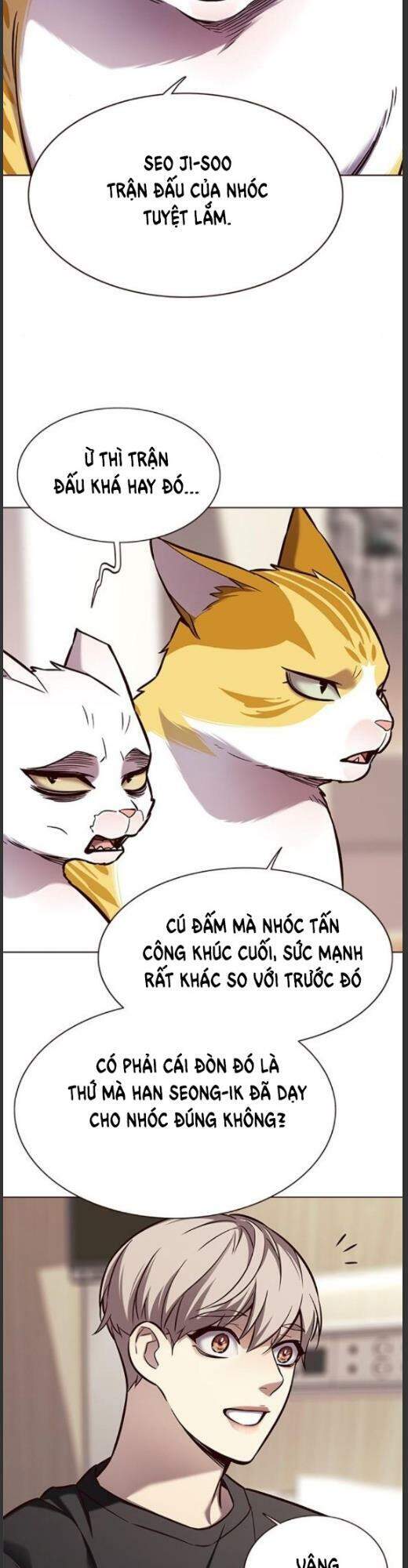 Hoá Thân Thành Mèo Chap 160 - Next Chap 161