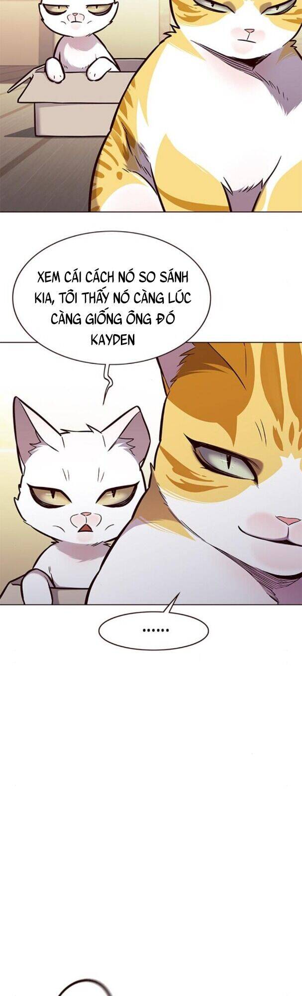 Hoá Thân Thành Mèo Chap 174 - Next Chap 175