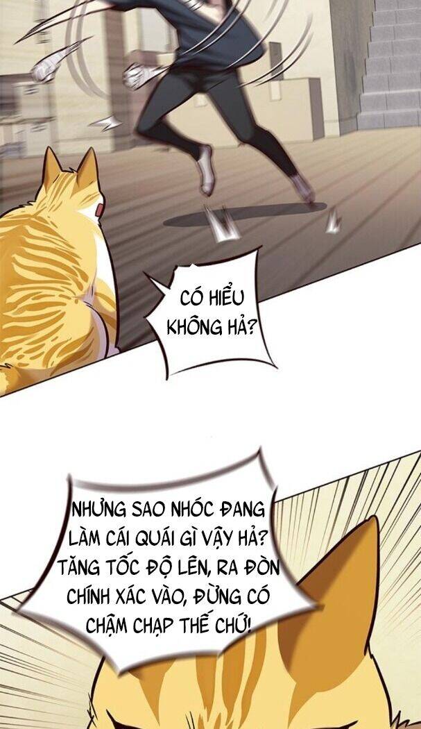 Hoá Thân Thành Mèo Chap 174 - Next Chap 175