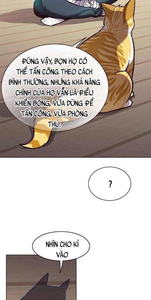 Hoá Thân Thành Mèo Chap 174 - Next Chap 175