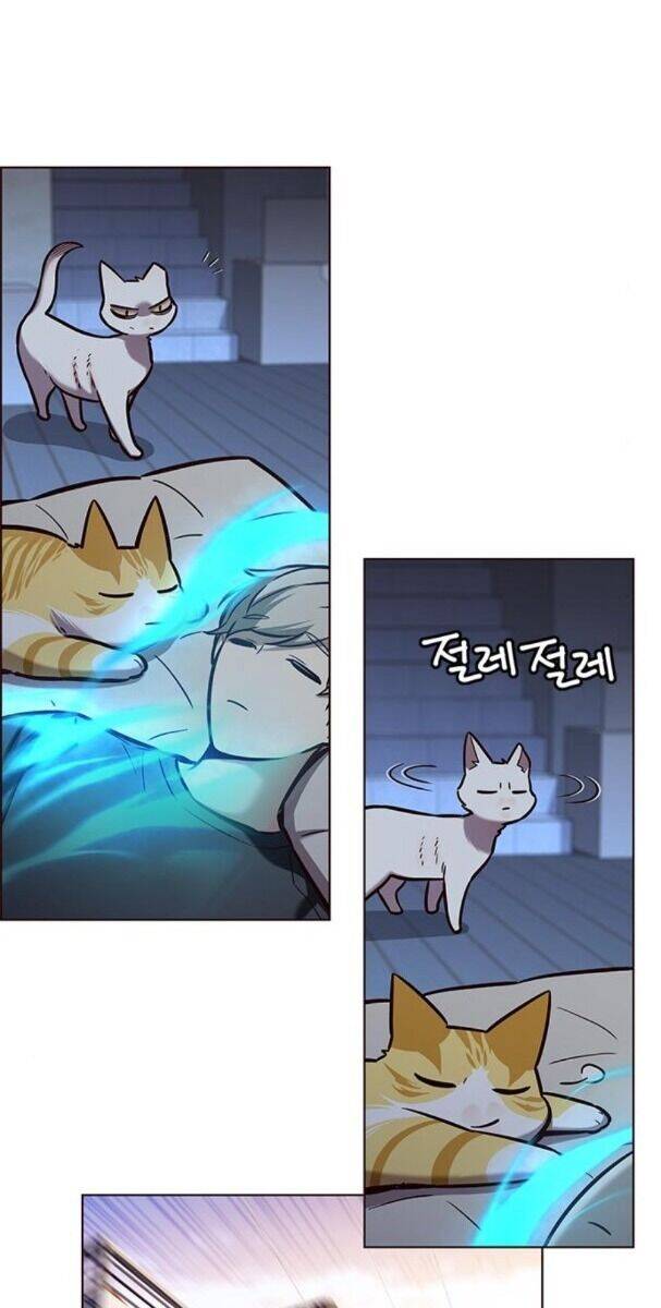 Hoá Thân Thành Mèo Chap 174 - Next Chap 175