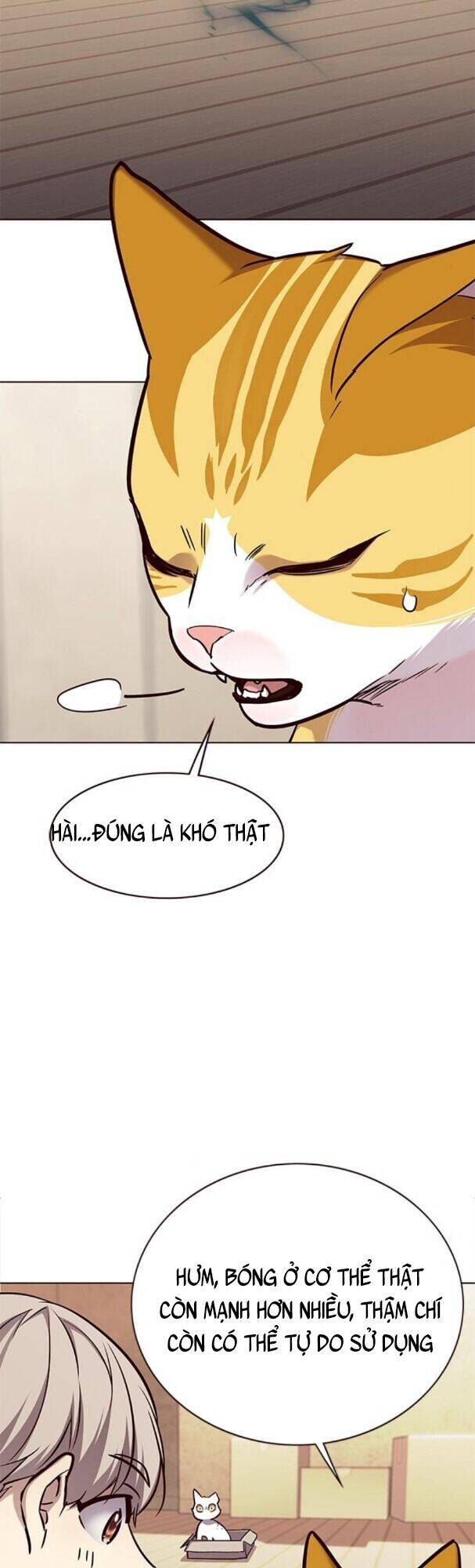 Hoá Thân Thành Mèo Chap 174 - Next Chap 175