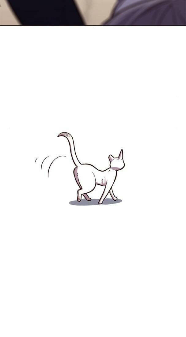 Hoá Thân Thành Mèo Chap 178 - Next Chap 179