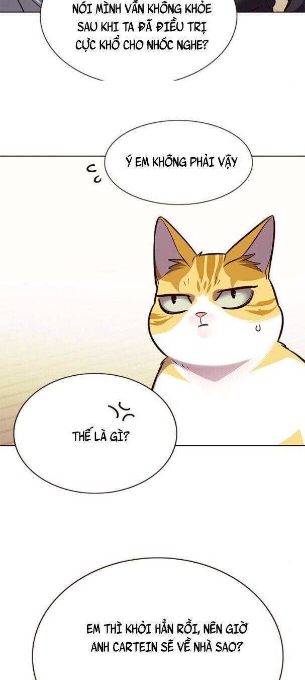 Hoá Thân Thành Mèo Chap 179 - Next Chap 180