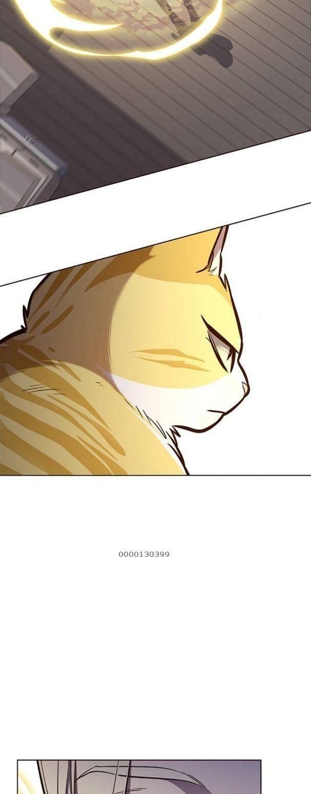 Hoá Thân Thành Mèo Chap 179 - Next Chap 180