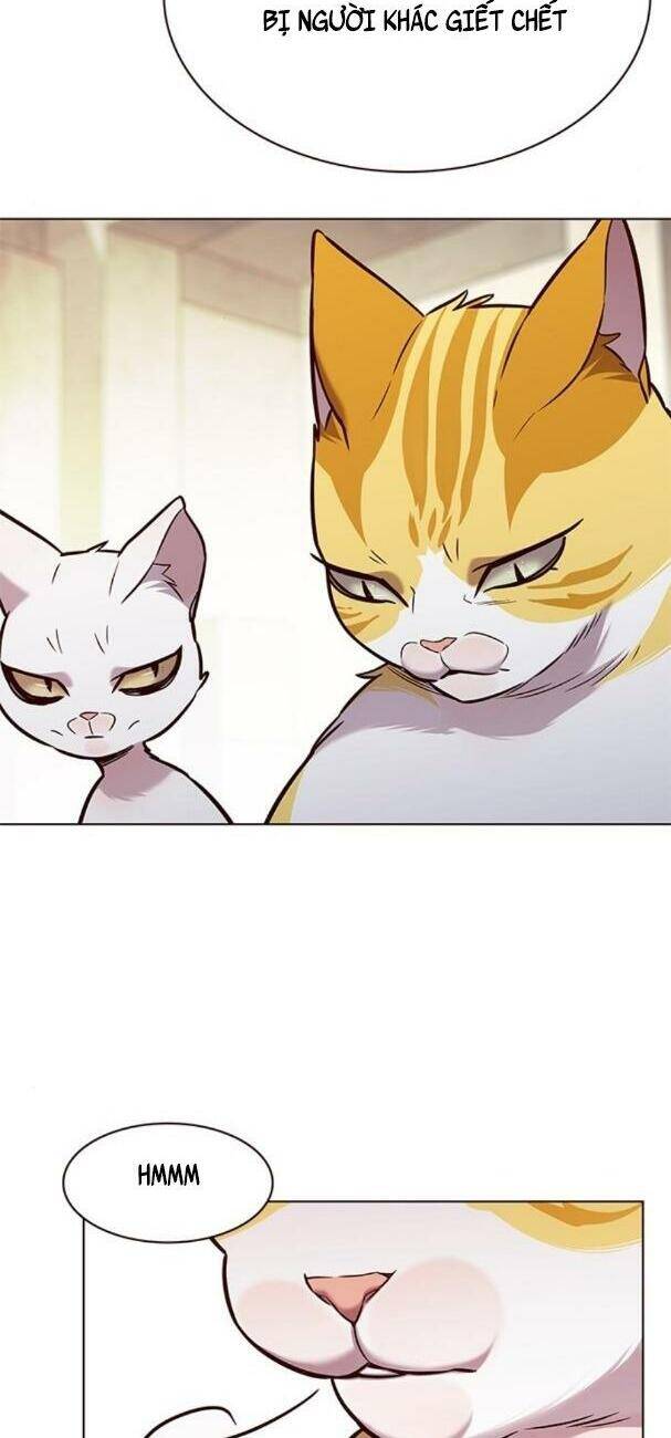 Hoá Thân Thành Mèo Chap 180 - Next Chap 181