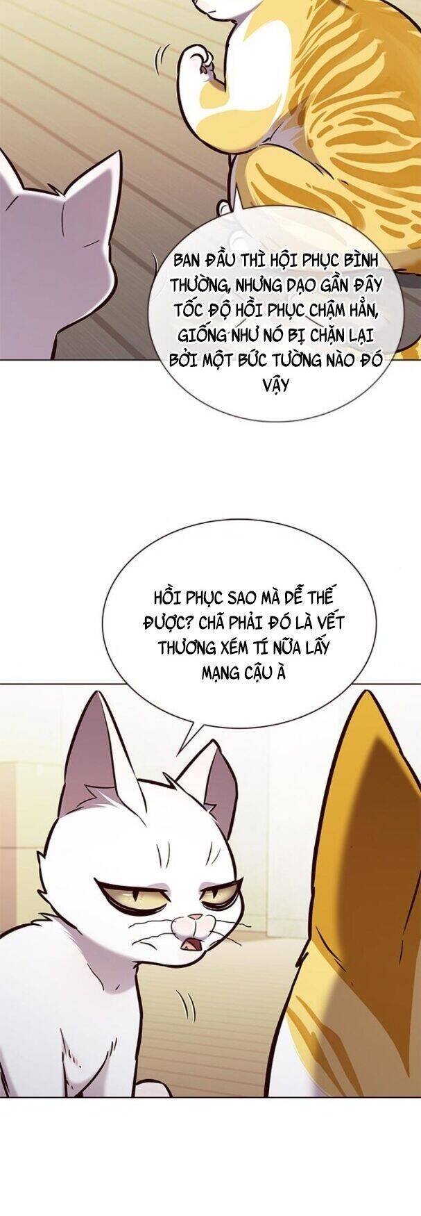 Hoá Thân Thành Mèo Chap 180 - Next Chap 181