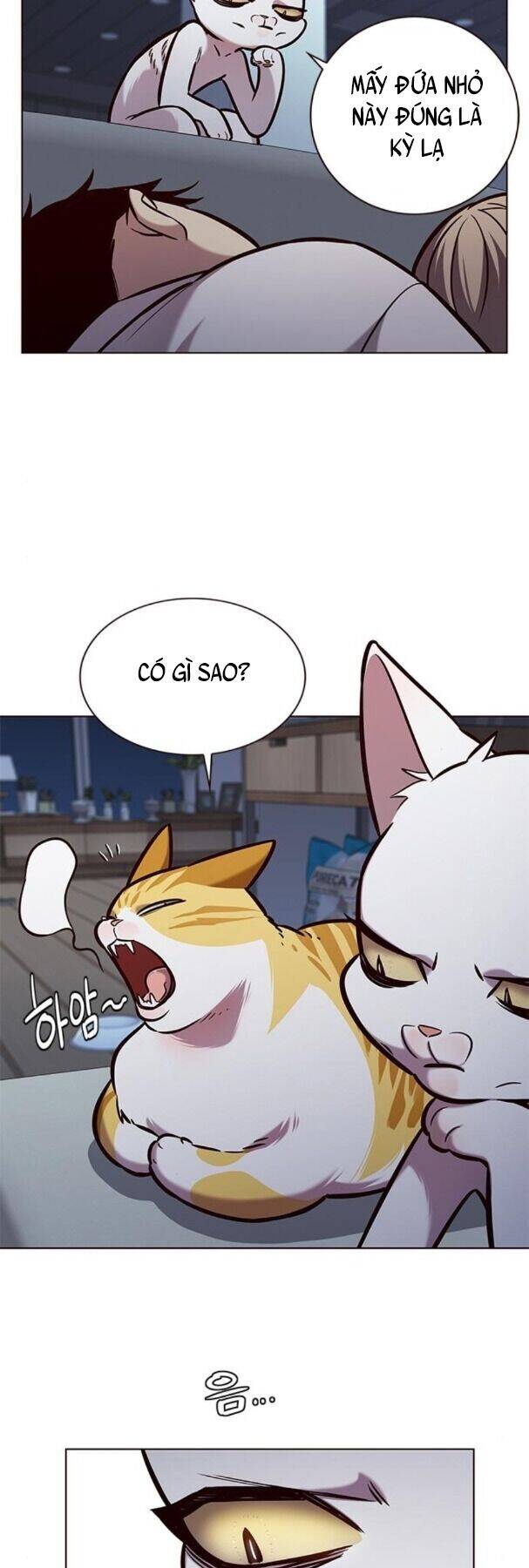 Hoá Thân Thành Mèo Chap 190 - Next Chap 191