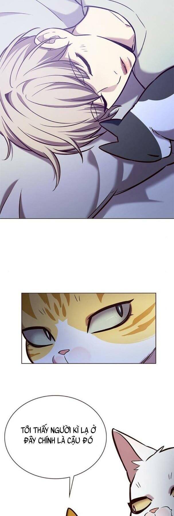 Hoá Thân Thành Mèo Chap 190 - Next Chap 191