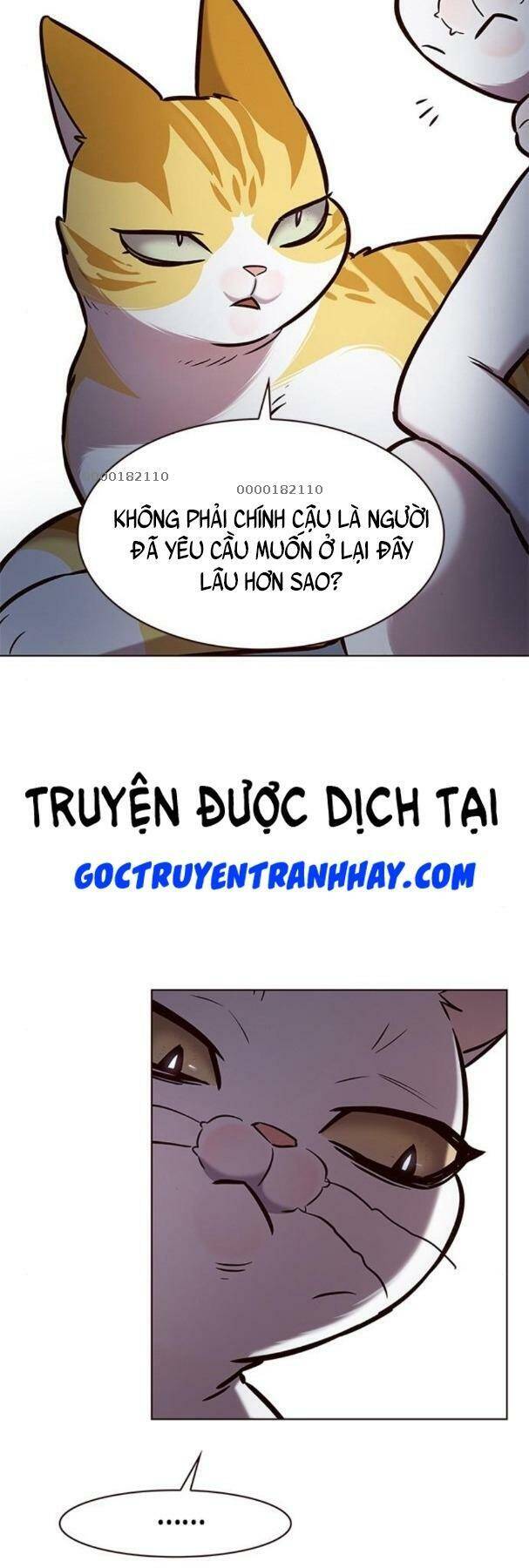 Hoá Thân Thành Mèo Chap 190 - Next Chap 191