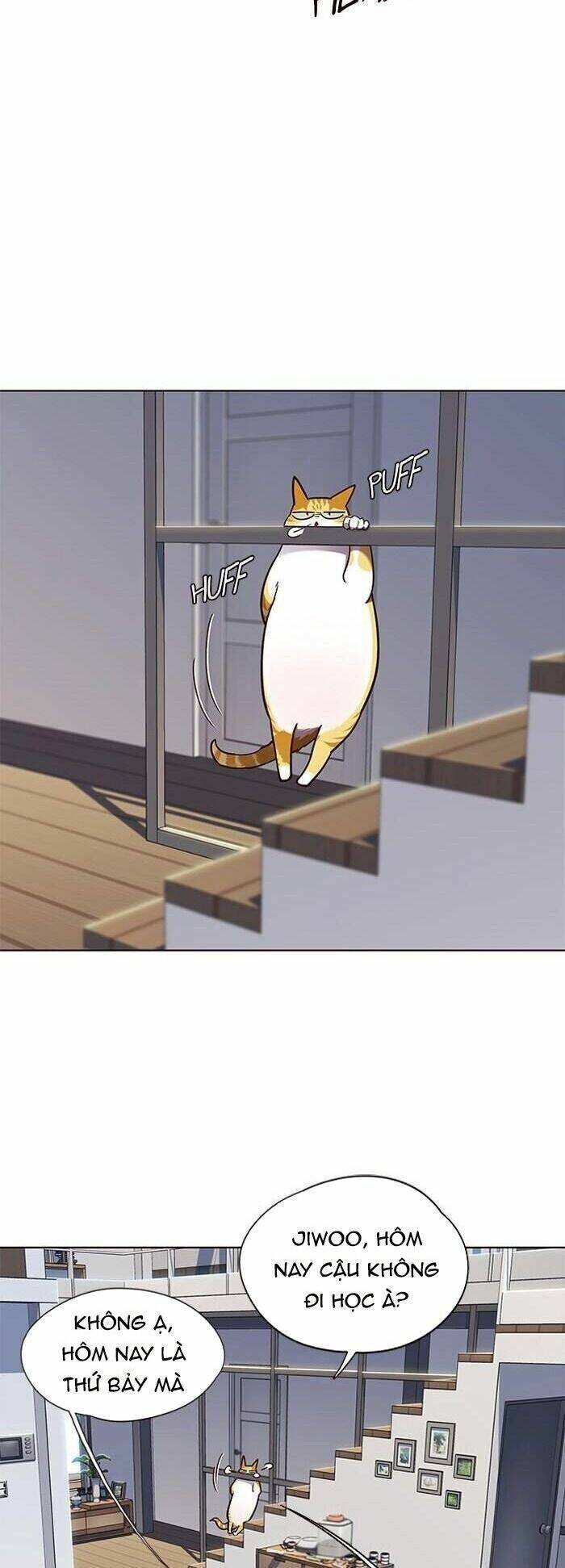Hoá Thân Thành Mèo Chap 55 - Next Chap 56