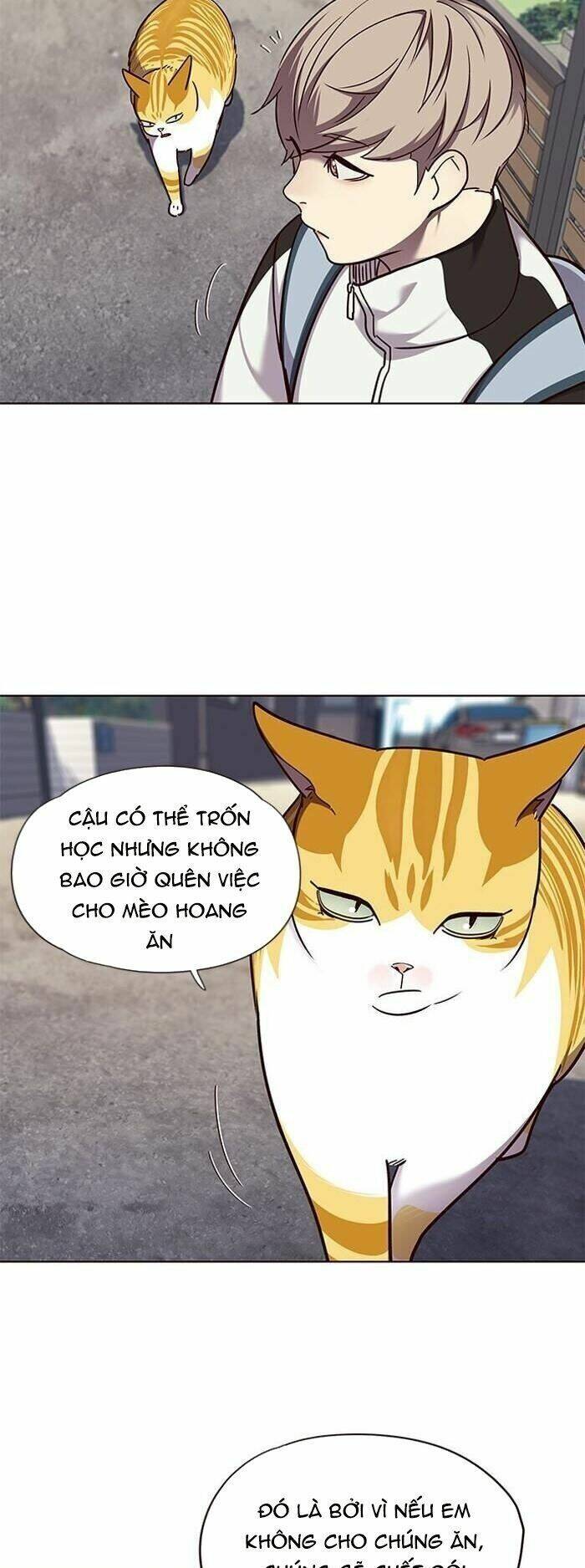 Hoá Thân Thành Mèo Chap 55 - Next Chap 56