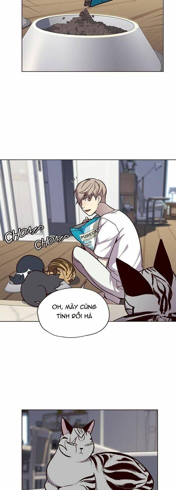 Hoá Thân Thành Mèo Chap 55 - Next Chap 56