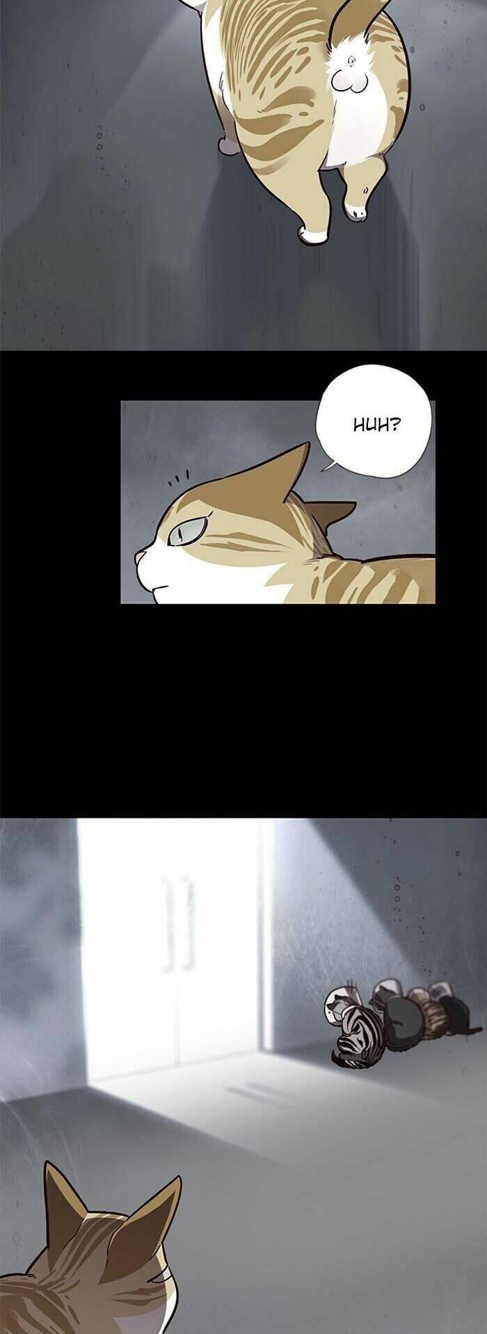 Hoá Thân Thành Mèo Chap 56 - Next Chap 57