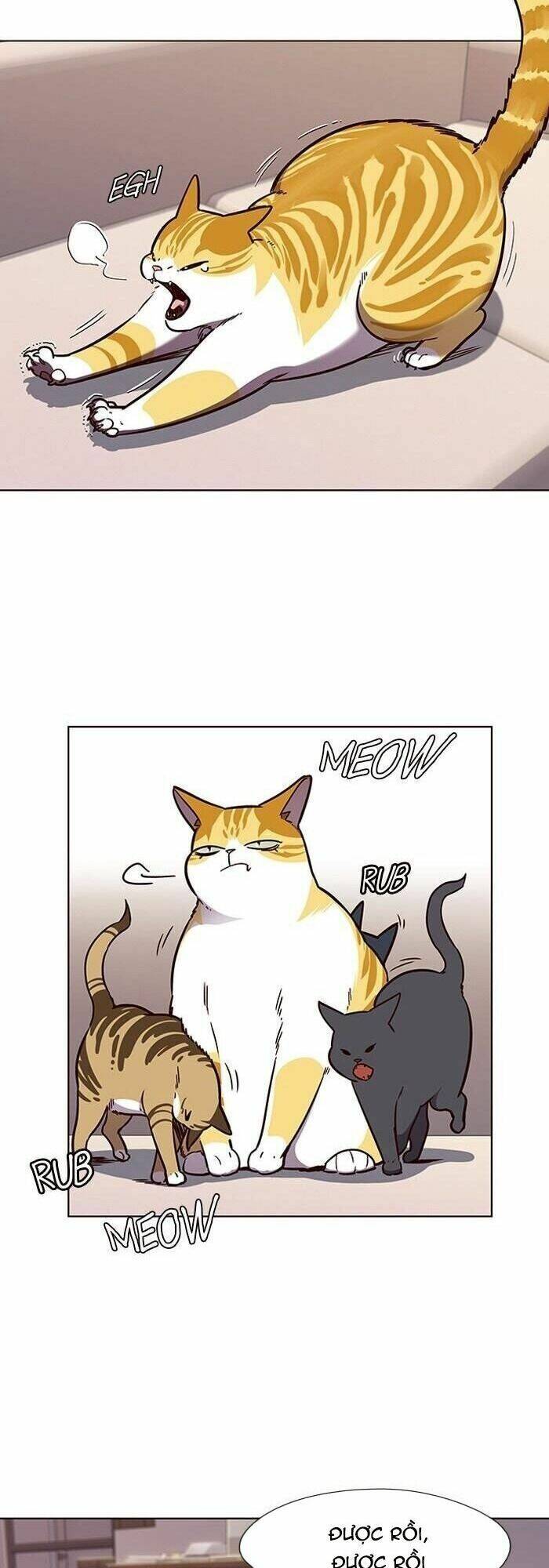 Hoá Thân Thành Mèo Chap 56 - Next Chap 57